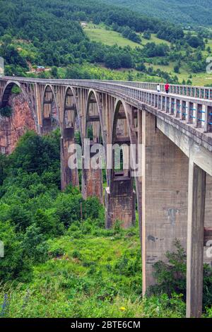 Montenegro. Parco nazionale Durmentor. Il ponte Tara attraversa il fiume Tara e il canyon Tara. Il parco è un sito patrimonio dell'umanità dell'UNESCO. Foto Stock