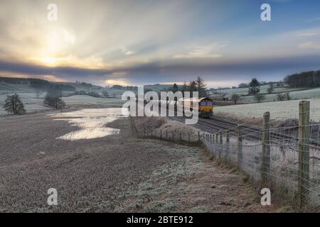 DB cargo classe 66 locomotiva che passa Closeburn, Dumfries e Galloway con un treno merci che trasporta nuovi furgoni di transito Ford su una gelida mattina d'inverno Foto Stock