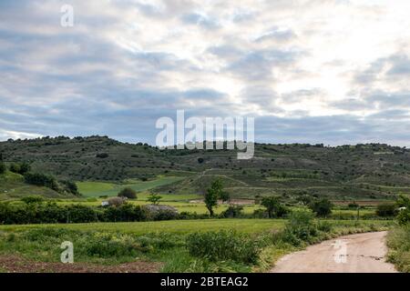 Bellissimo paesaggio a la Alcarria, Guadalajara, Spagna. Percorso tra campi coltivati.. Foto Stock