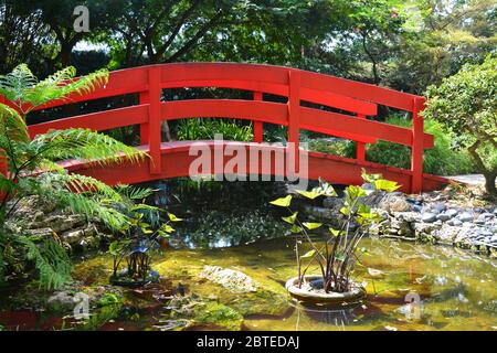 Ponte rosso sullo stagno nel giardino giapponese Foto Stock