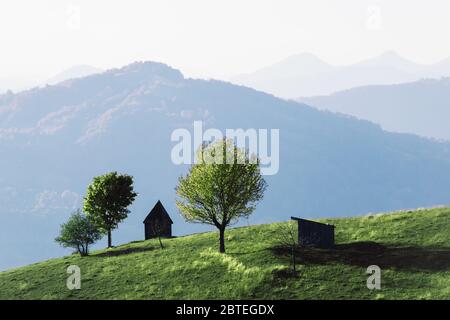 Pittoresco prato estivo con casa in legno e faggi verdi nelle montagne Carpazi, Ucraina. Fotografia di paesaggio Foto Stock