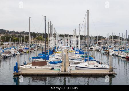 Monterey, California, USA - 09 giugno 2015: Vista del porto di Monterey Yacht. Yacht esclusivi ormeggiati nel porto turistico. Costa dell'Oceano Pacifico. Foto Stock