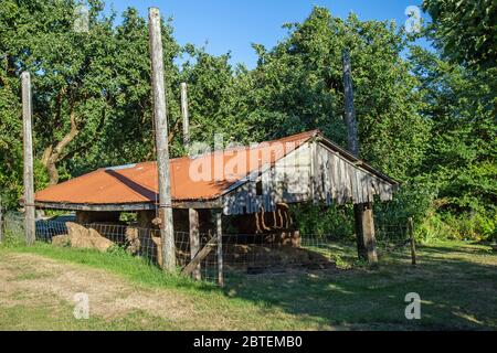 Asta di Barn Foto Stock