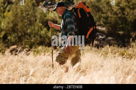 Uomo che cammina su un sentiero erboso di montagna tenendo un bastone. Uomo avventuroso in un viaggio escursionistico in natura. Foto Stock