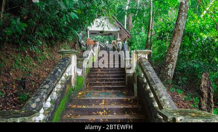 Scalinata alla cascata di Kathu nella splendida foresta pluviale nel distretto di Kathu, Phuket, Thailandia Foto Stock