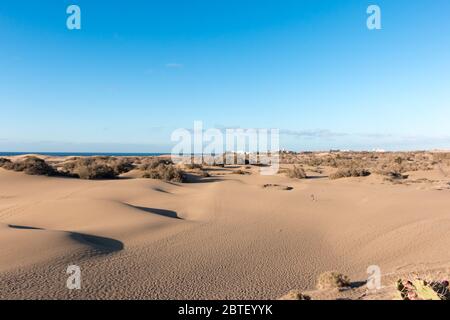 Vista delle dune di Maspalomas a Playa del Ingles, Maspalomas, Gran Canaria, Spagna. Foto Stock