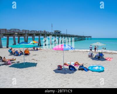 Molo di pesca e Brohard Park Beach sul Golfo del Messico a Venezia, Florida negli Stati Uniti Foto Stock