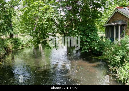 Il fiume Wandle serpeggianti attraverso ombrosi boschi a Morden Hall Park nel sud-ovest di Londra. Foto Stock