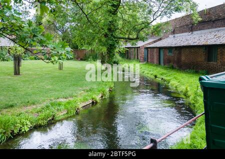 Il fiume Wandle serpeggianti attraverso ombrosi boschi a Morden Hall Park nel sud-ovest di Londra. Foto Stock