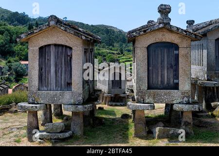 Espigueiros Tradizionale, Granary, Lindoso, Parco Nazionale Peneda Geres, Provincia Minho, Portogallo Foto Stock