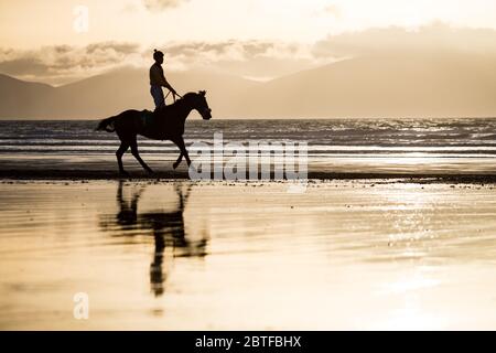 Silhouette di corsa di cavalli e fantini che corrono sulla spiaggia al tramonto, selvaggio Atlantic Way sulla costa occidentale dell'Irlanda Foto Stock