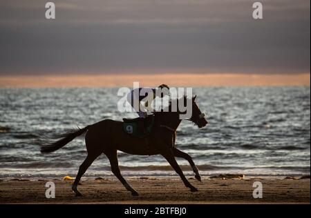 Silhouette di corsa di cavalli e fantini che corrono sulla spiaggia al tramonto, selvaggio Atlantic Way sulla costa occidentale dell'Irlanda Foto Stock