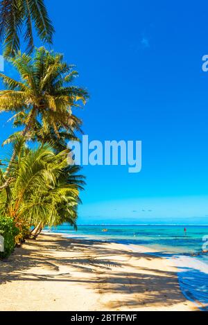 Vista della spiaggia di sabbia nella laguna Huahine, Polinesia francese. Verticale. Copia spazio per il testo Foto Stock