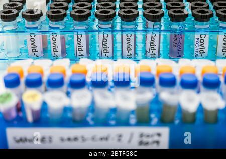Fiale con campioni di SARS-COV-2 Covid-19 in un laboratorio di ricerca, immagine concettuale Foto Stock