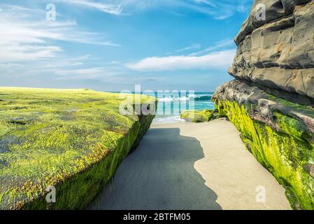 Formazioni rocciose sulla spiaggia di Windansea in un pomeriggio invernale. La Jolla, California, Stati Uniti. Foto Stock