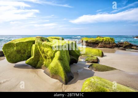 Formazioni rocciose sulla spiaggia di Windansea in un pomeriggio invernale. La Jolla, California, Stati Uniti. Foto Stock