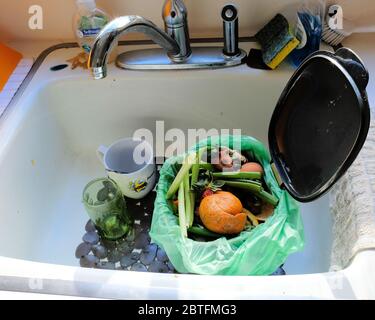 Scarti di cibo in un bidone di composto in un lavello di cucina; spreco di cibo raccolto in un bidone per il compostaggio domestico e giardinaggio. Foto Stock