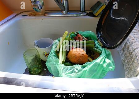 Scarti di cibo in un bidone di composto in un lavello di cucina; spreco di cibo raccolto in un bidone per il compostaggio domestico e giardinaggio. Foto Stock