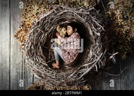 bambina che dorme tranquillamente e tranquillamente in un nido, concetto di protezione e sicurezza per i bambini, colori in stile retrò, segno di amore per i bambini Foto Stock