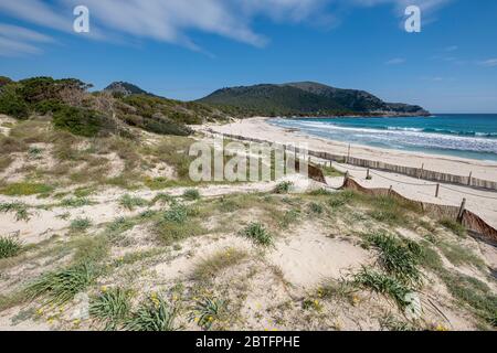 Barriere al contenimento delle dune, Cala Agulla, Area Naturale di interesse particolare, comune di Capdepera, Maiorca, Isole Baleari, Spagna. Foto Stock