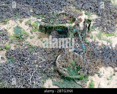 La bassa marea, bicicletta, alghe, Portsmouth, Inghilterra Foto Stock