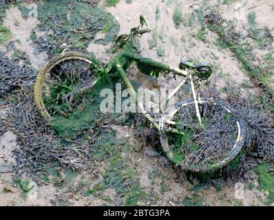 La bassa marea, bicicletta, alghe, Portsmouth, Inghilterra Foto Stock