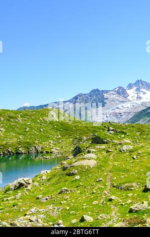 Lago Alpino di Cheserys, Lago Cheserys vicino Chamonix-Mont-Blanc nelle Alpi francesi. Lago di ghiacciaio con alte montagne sullo sfondo. Tour du Mont Blanc Trail. Verde paesaggio alpino. Foto verticale. Foto Stock