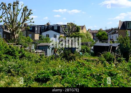 Il Parco del Garratt allottments River Wandle Trail Foto Stock