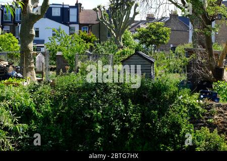 Il Parco del Garratt allottments River Wandle Trail Foto Stock