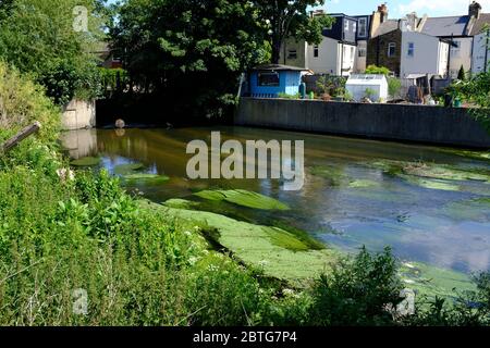 Il Parco del Garratt allottments River Wandle Trail Foto Stock