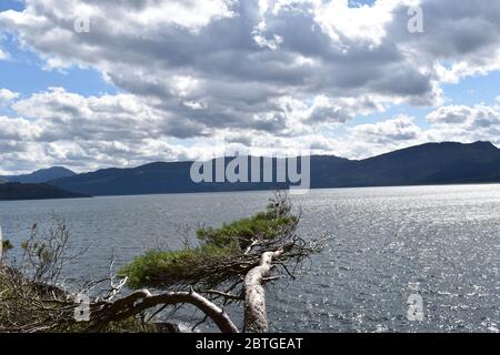 Vista mozzafiato dalla passeggiata nel bosco di Loch Alsh, da cui si può ammirare Skye Foto Stock