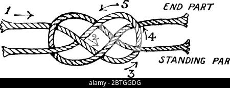 Mostra, curva di carrick che unisce due funi. Il loop di un nodo è chiamato, luminoso; la parte opposta all'estremità libera della corda è chiamata, parte in piedi, Vint Illustrazione Vettoriale