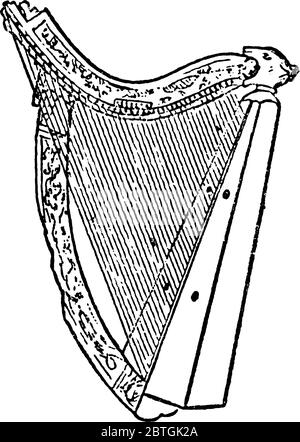 Corde dello strumento musicale a corda che viene stropicciato dalle dita, per produrre suono e musica. Ha un certo numero di stringhe individuali che sono Illustrazione Vettoriale