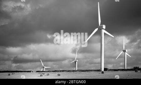 Parchi eolici in campi in Inghilterra Foto Stock