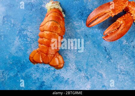 Aragosta inglese al vapore in fila con artigli incrociati su sfondo blu. Foto Stock