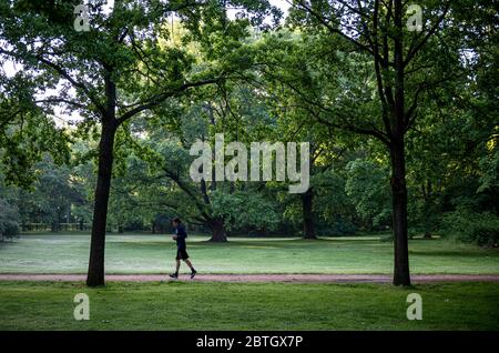 Berlino, Germania. 26 Maggio 2020. Un pareggiatore cammina attraverso il Tiergarten la mattina presto. Credit: Fabian Sommer/dpa/Alamy Live News Foto Stock