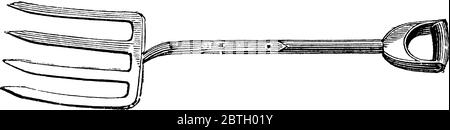 Forchetta con quattro rebbi appiattiti con manico lungo utilizzato in cucina per sollevare patate, disegno di linea vintage o illustrazione di incisione. Illustrazione Vettoriale