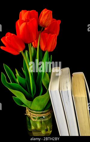 Closeup tulipani rossi fiori in fiore mazzo e foglie verdi con libri isolati su sfondo nero Foto Stock