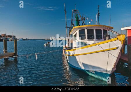 Gamberi barca a marina, Aransas Bay, Golfo del Messico, Rockport, Gulf Coast, Texas, Stati Uniti Foto Stock