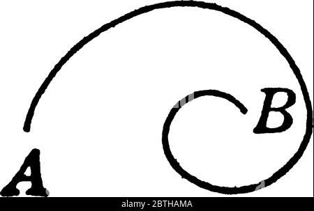 Curva a spirale è una curva che si stese da un punto mentre si recediva continuamente da quel punto, disegno di linee vintage o illustrazione dell'incisione. Illustrazione Vettoriale