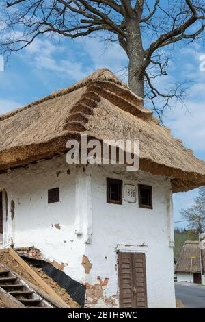 Tetto a dattolo, di una casa di produzione di vino, Heiligenbrunn, Burgenland, Austria Foto Stock