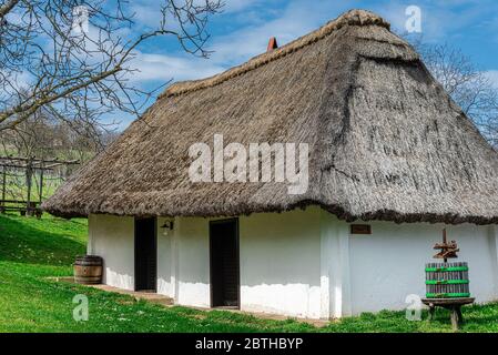 Tetto a dattolo, di una casa di produzione di vino, Heiligenbrunn, Burgenland, Austria Foto Stock