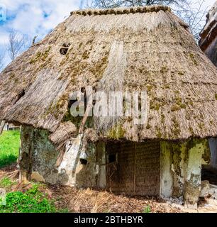 Tetto a dattolo, di una casa di produzione di vino, Heiligenbrunn, Burgenland, Austria Foto Stock