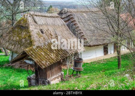 Tetto a dattolo, di una casa di produzione di vino, Heiligenbrunn, Burgenland, Austria Foto Stock