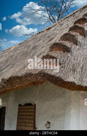 Tetto a dattolo, di una casa di produzione di vino, Heiligenbrunn, Burgenland, Austria Foto Stock