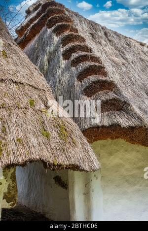 Tetto a dattolo, di una casa di produzione di vino, Heiligenbrunn, Burgenland, Austria Foto Stock