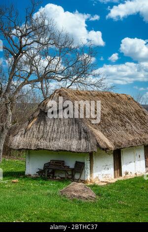 Tetto a dattolo, di una casa di produzione di vino, Heiligenbrunn, Burgenland, Austria Foto Stock