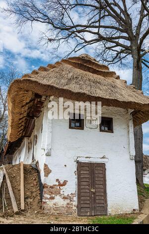 Tetto a dattolo, di una casa di produzione di vino, Heiligenbrunn, Burgenland, Austria Foto Stock