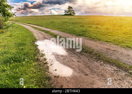 Piscine di acqua piovana su una strada sterrata nella campagna ceca. Strada di campagna dopo la pioggia. Foto Stock