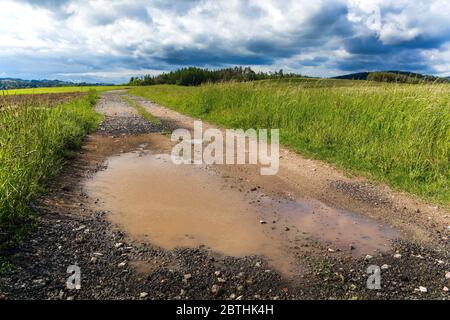 Piscine di acqua piovana su una strada sterrata nella campagna ceca. Strada di campagna dopo la pioggia. Foto Stock